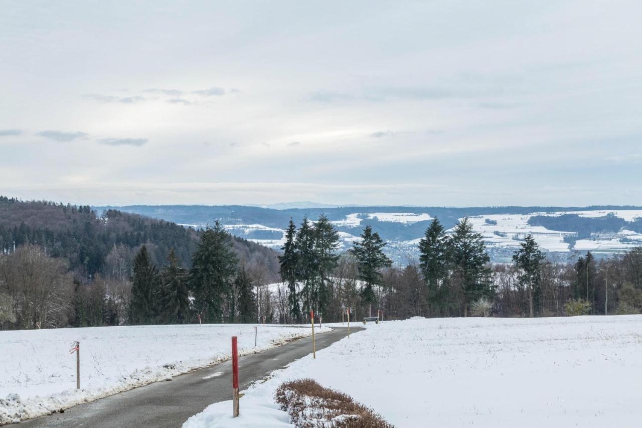 Ferienwohnung Gebhart Ohningen Exteriér fotografie